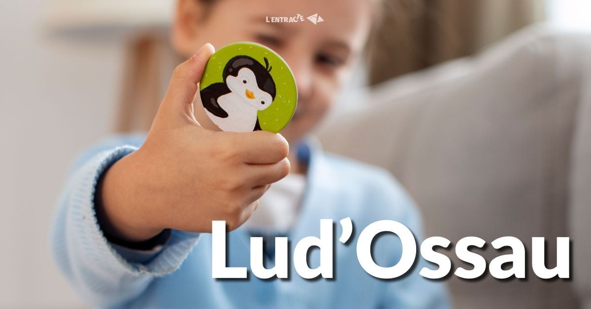 Ludossau
